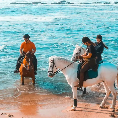 Portugal Active *